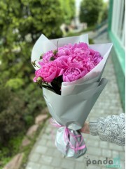 15 pink peonies