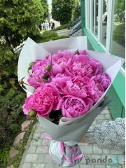 15 pink peonies