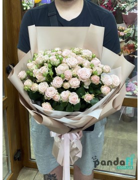 15 pink peony bush roses