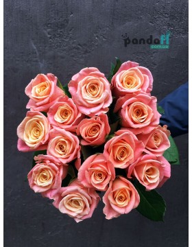 15 pink Miss Piggy roses, 60 cm