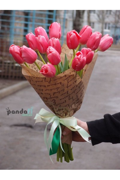 15 pink tulips