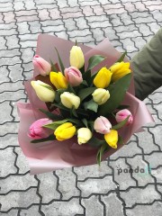 15 tulips mix 3 colors Delicate