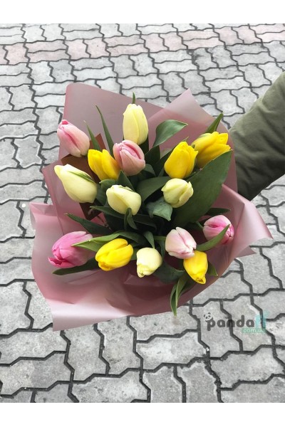 15 tulips mix 3 colors Delicate