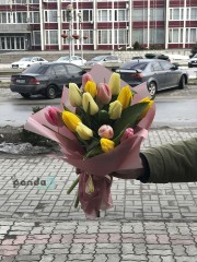 15 tulips mix 3 colors Delicate