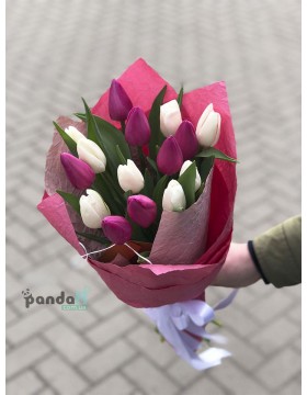 15 tulips, a mix of white and pink