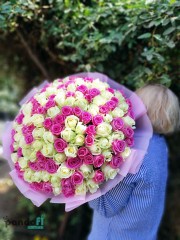 151 троянда мікс білих та рожевих 60 см