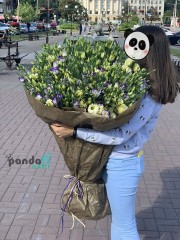 151 еустома мікс