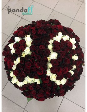 151 red rose 70 cm with number 20