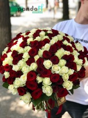 151 троянда мікс червоних та білих 70 см
