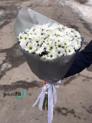 17 хризантем