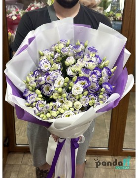 17 white and lilac eustomas