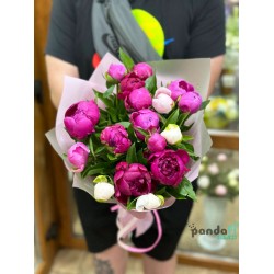 17 peonies mix #2