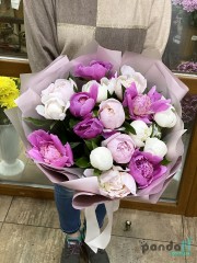 17 peonies mix