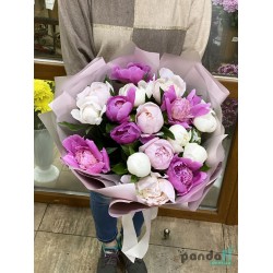 17 peonies mix