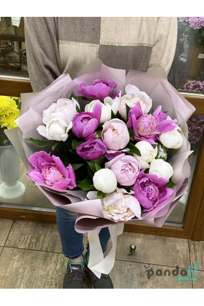 17 peonies mix