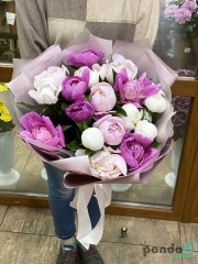 17 peonies mix