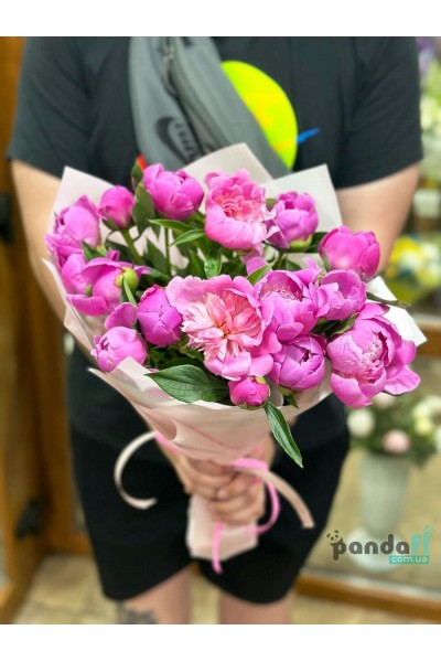 17 pink peonies