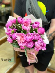 17 pink peonies