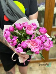 17 pink peonies