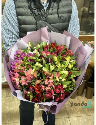 19 alstroemeria