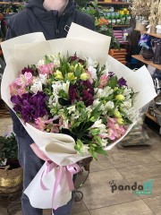 19 alstroemeria #2