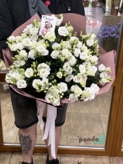 19 білих еустом