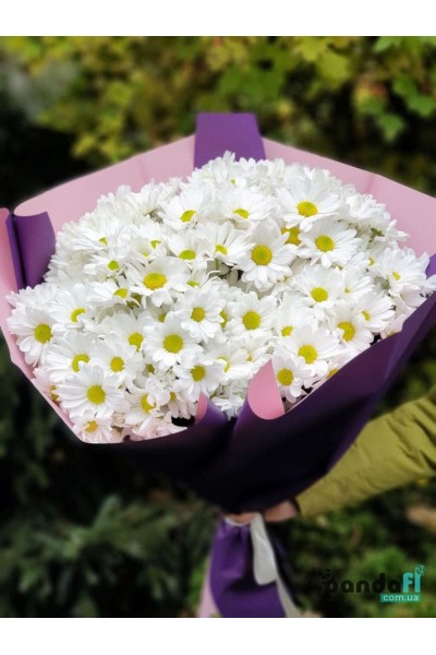 19 white chrysanthemums