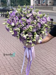 19 біло-фіолетових еустом