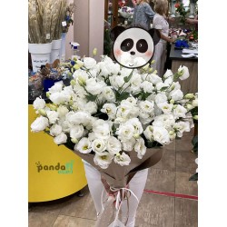 19 білих еустом #2