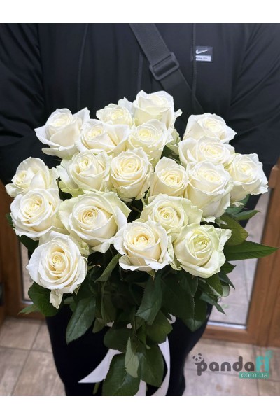 19 white roses 80 cm #2