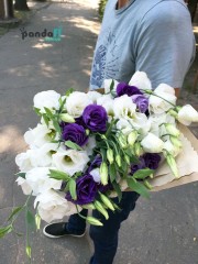 19 еустом