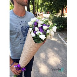19 еустом