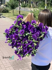 19 фіолетових еустом