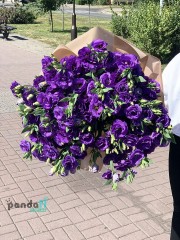 19 фіолетових еустом