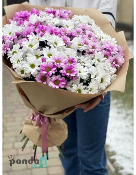 19 chrysanthemums mix #5
