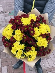 19 хризантем мікс #3