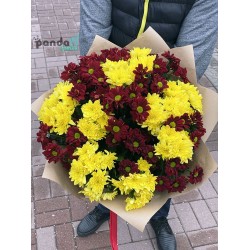 19 хризантем мікс #3