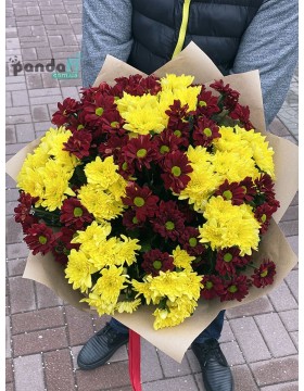19 chrysanthemums mix #3