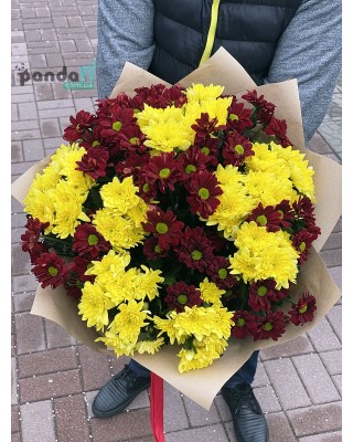19 хризантем мікс #3
