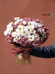 19 хризантем мікс