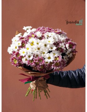 19 chrysanthemums mix