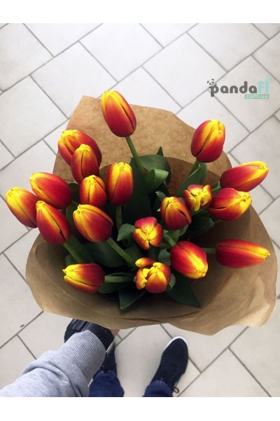 19 red and yellow tulips