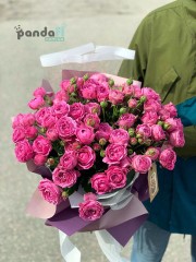 19 кущових троянд темно-рожевих 60 см