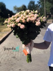 19 кущових троянд 80 см