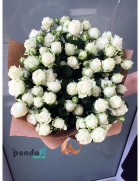 19 cream bush roses 60 cm