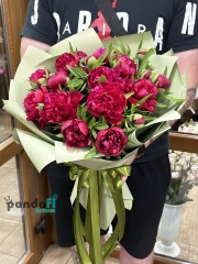 19 raspberry peonies