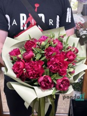 19 raspberry peonies