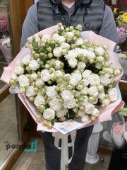 19 піоноподібних троянд мікс 60 см