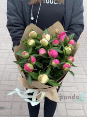 19 peonies