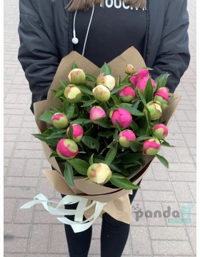 19 peonies